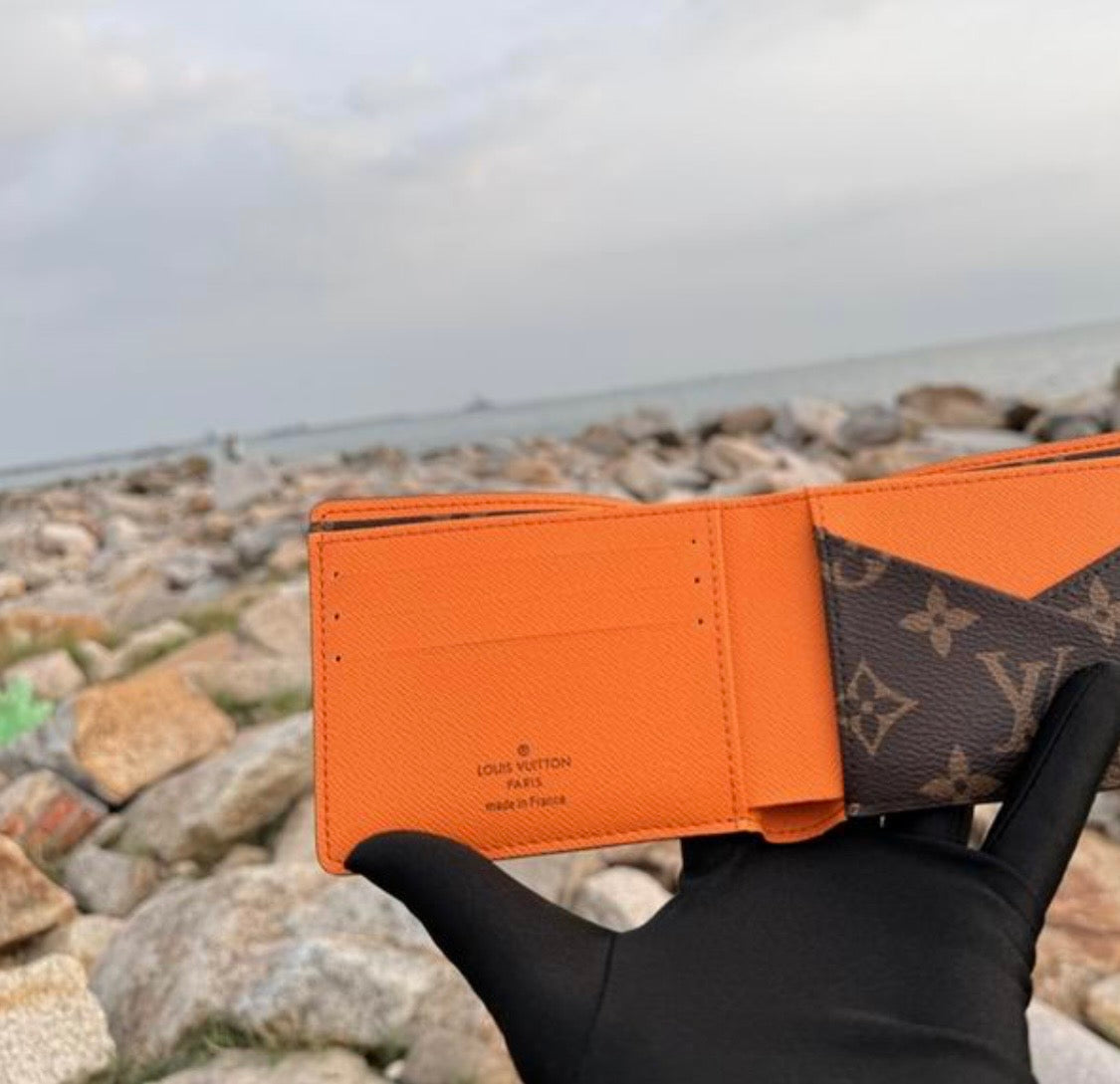 Cartera Louis Vuitton Multiple Wallet