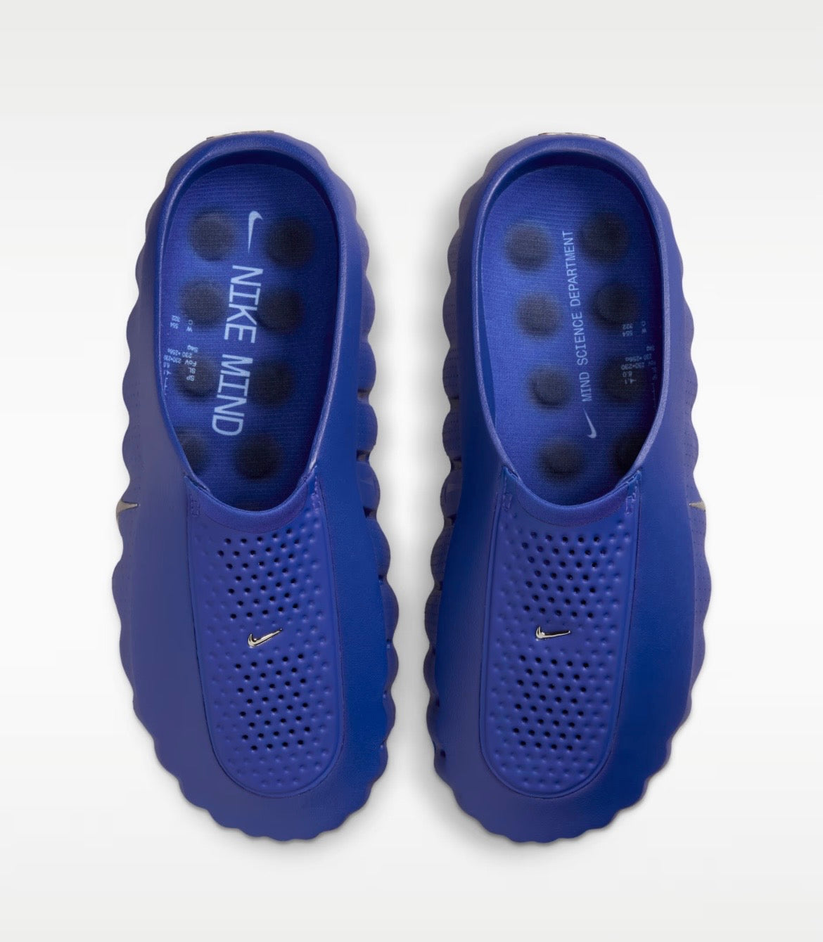 Chanclas